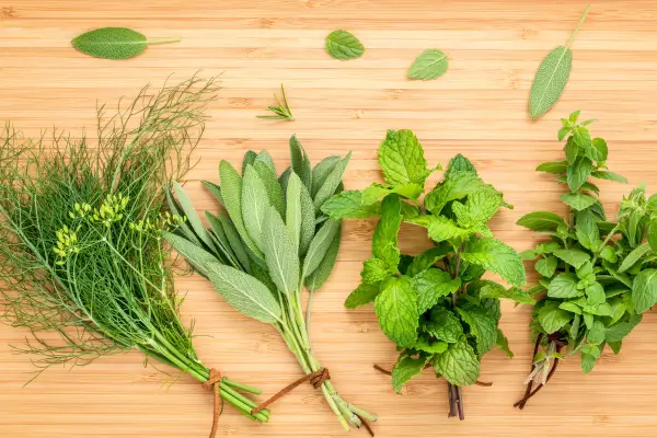 Hortaliças Aromáticas em Sistemas Verticais com Substratos Leves