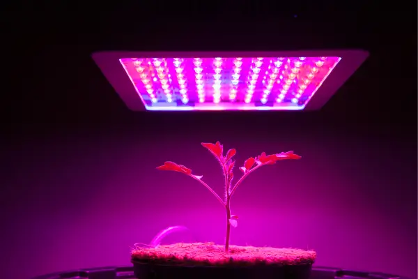 Dispositivos de Iluminação LED de Amplo Espectro para Cultivo Interno