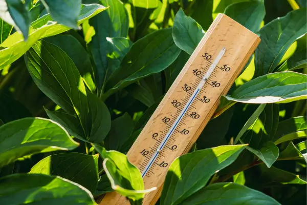Equipamentos Inteligentes para Controlar a Temperatura em Plantios Internos