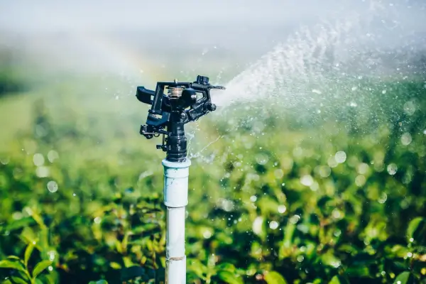 Aspersores para Irrigação em Espaços com Restrições de Infraestrutura
