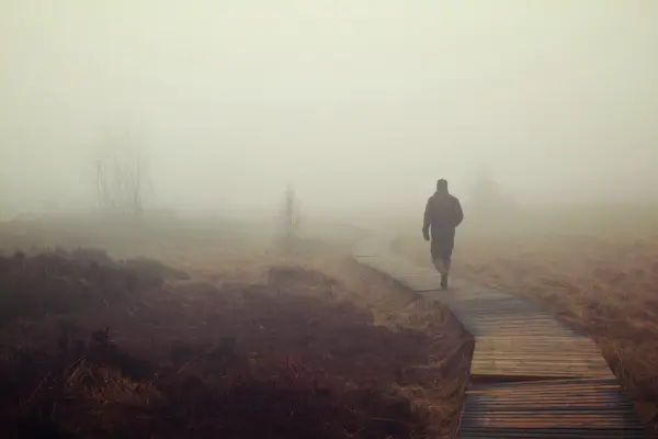 Captura de Neblina para Aproveitamento Hídrico no Planalto Catarinense